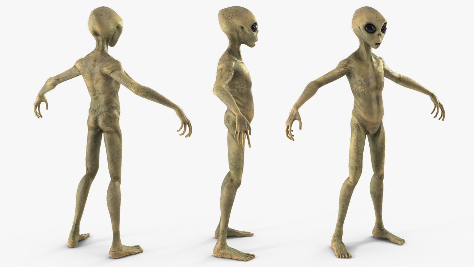 Humanoid Alien Creature Fur Rigged 3D model