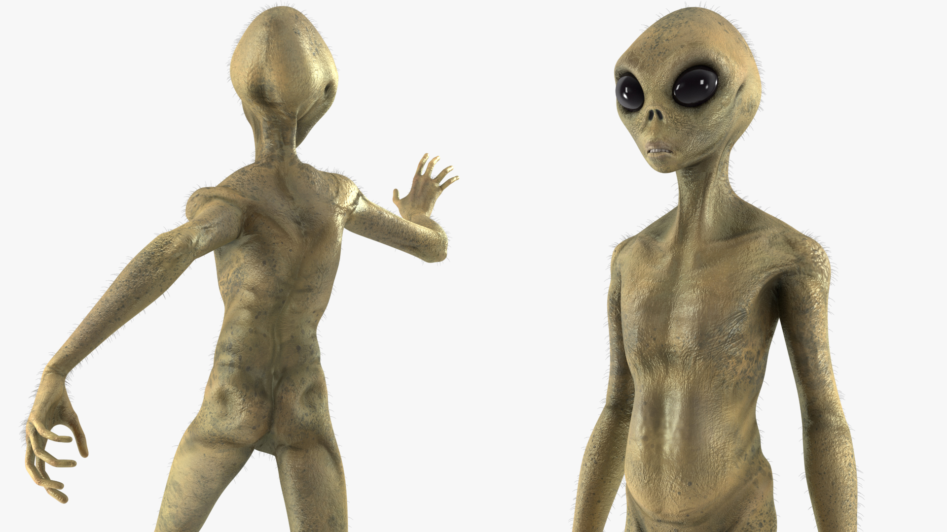 Humanoid Alien Creature Fur Rigged 3D model
