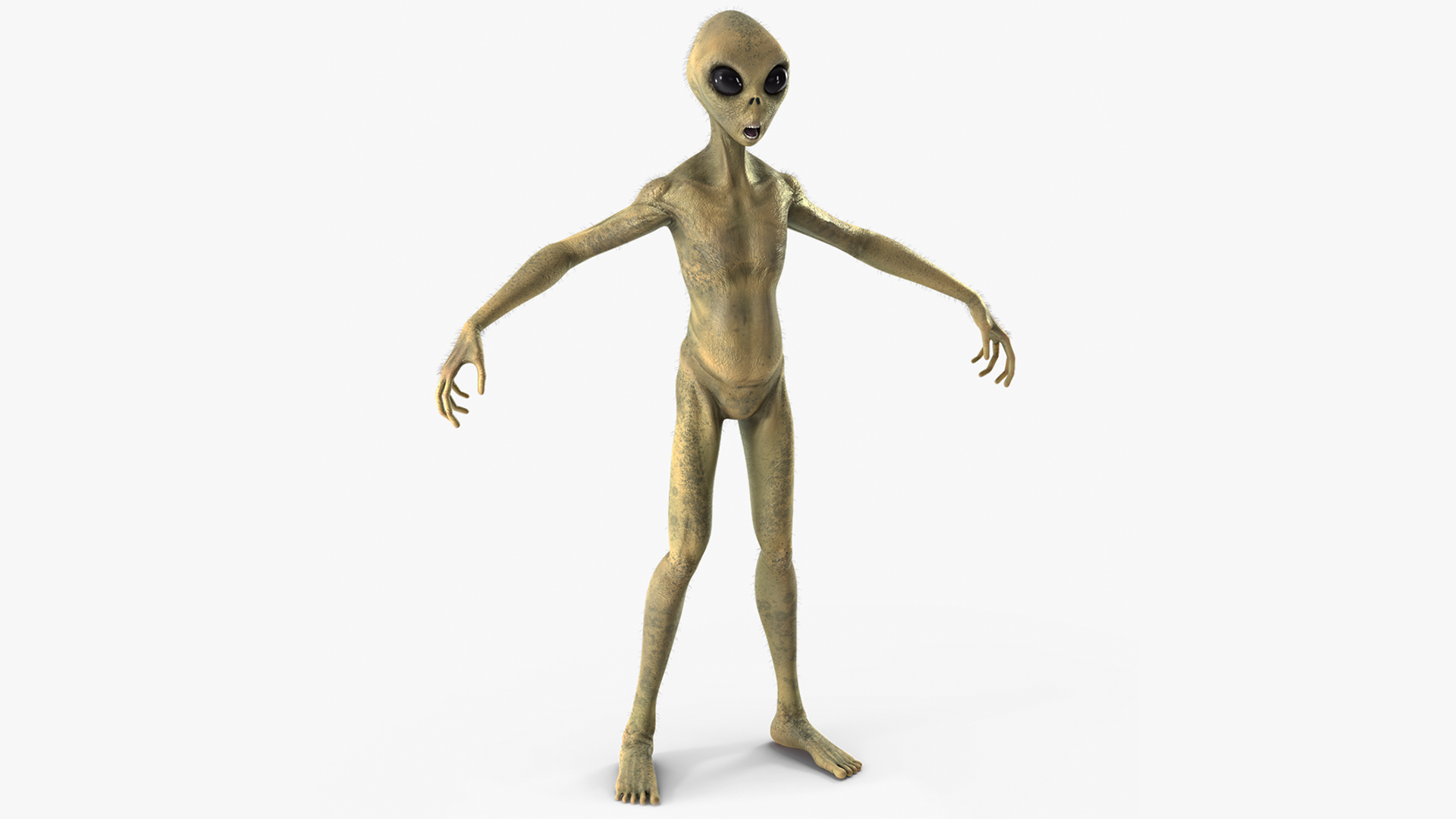 Humanoid Alien Creature Fur Rigged 3D model