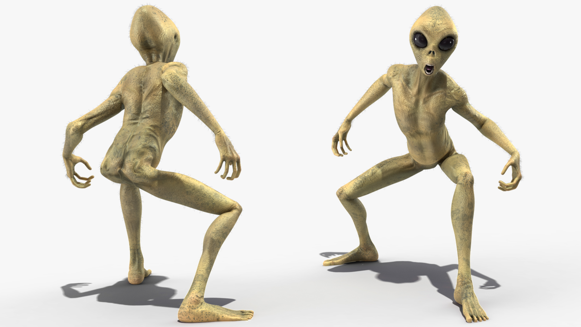 Humanoid Alien Creature Fur Rigged 3D model