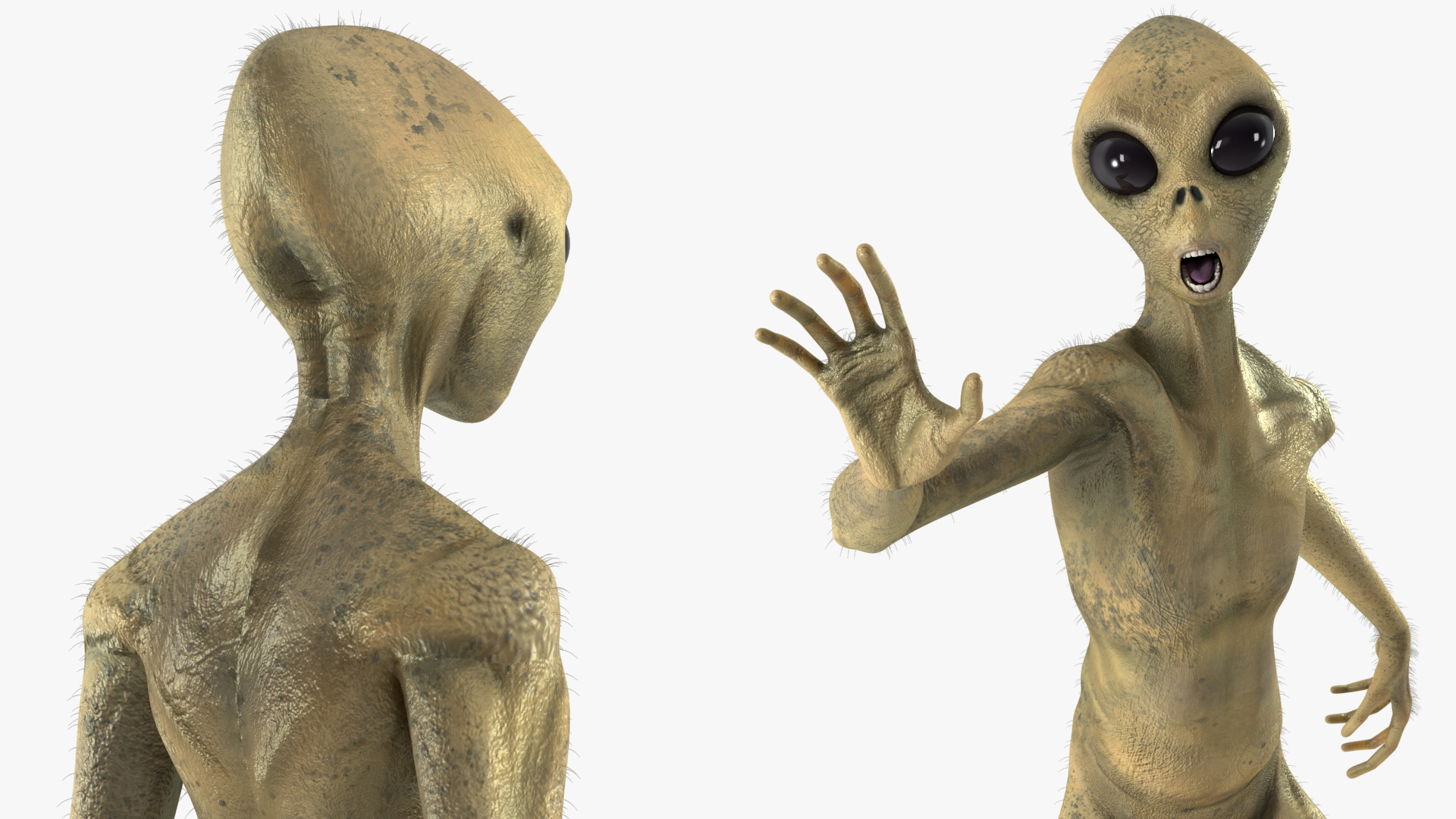 Humanoid Alien Creature Fur Rigged 3D model