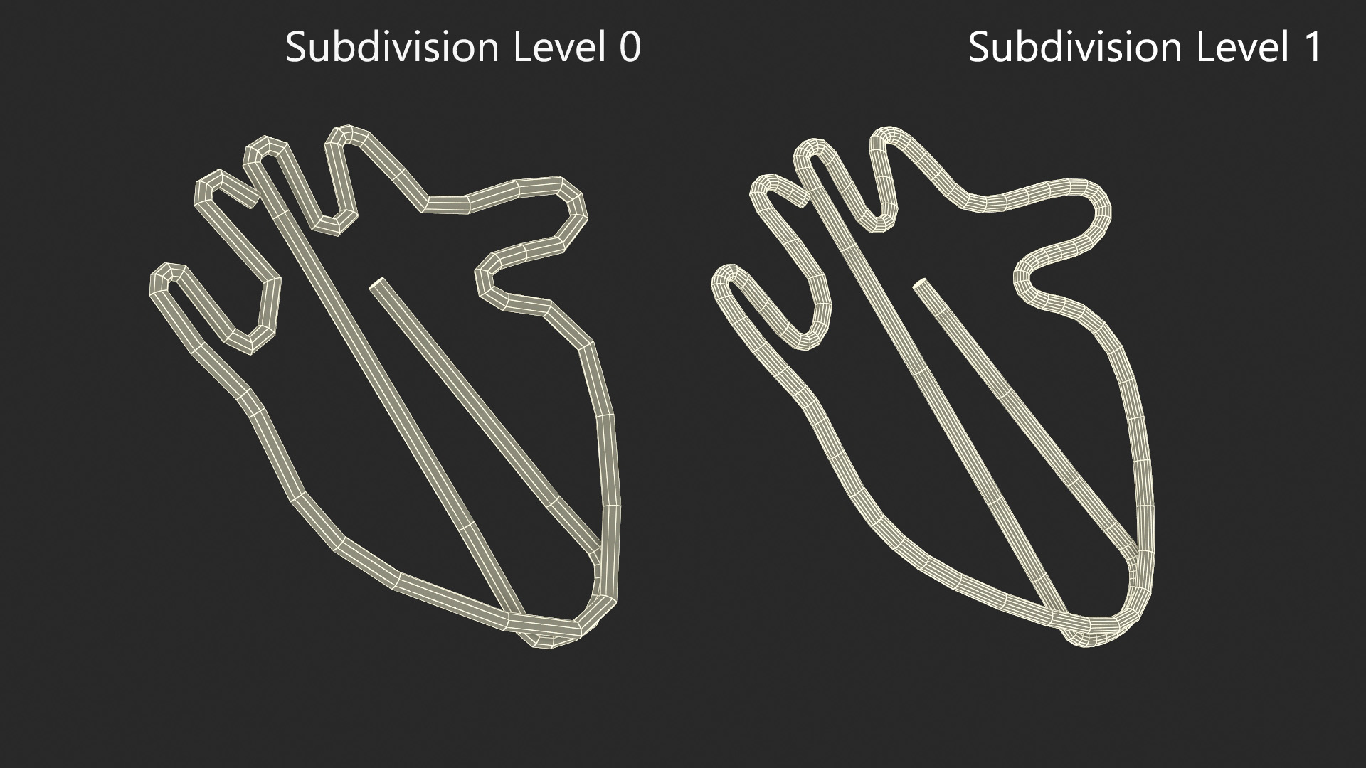 3D model Anatomic Heart Shape