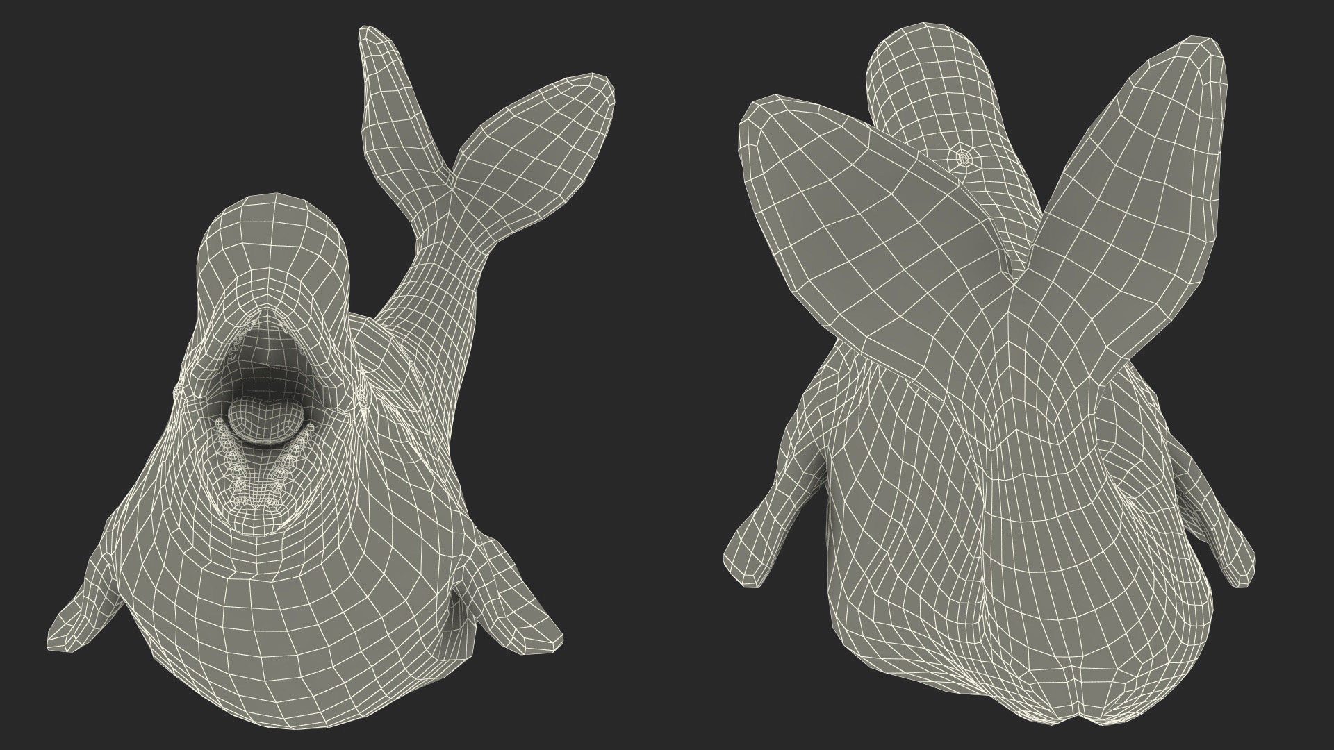 3D Beluga Whale Adult Playful Pose