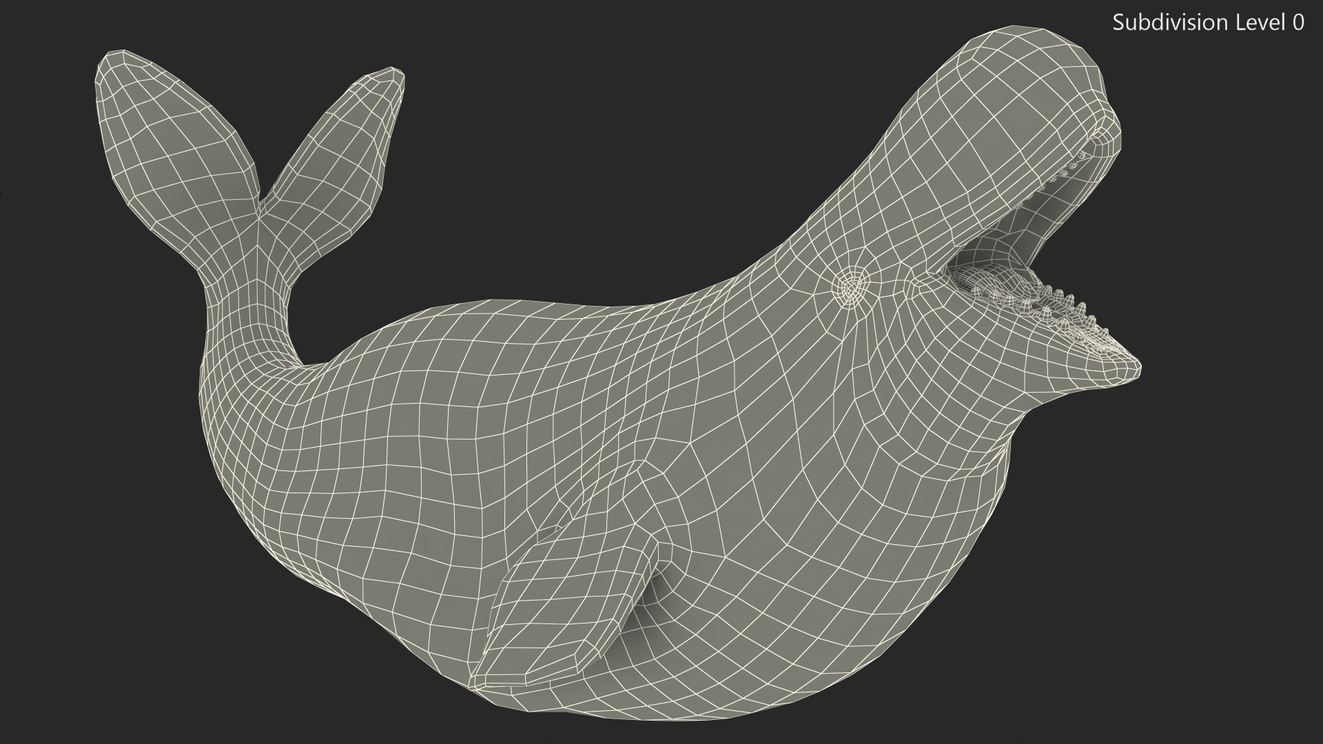 3D Beluga Whale Adult Playful Pose