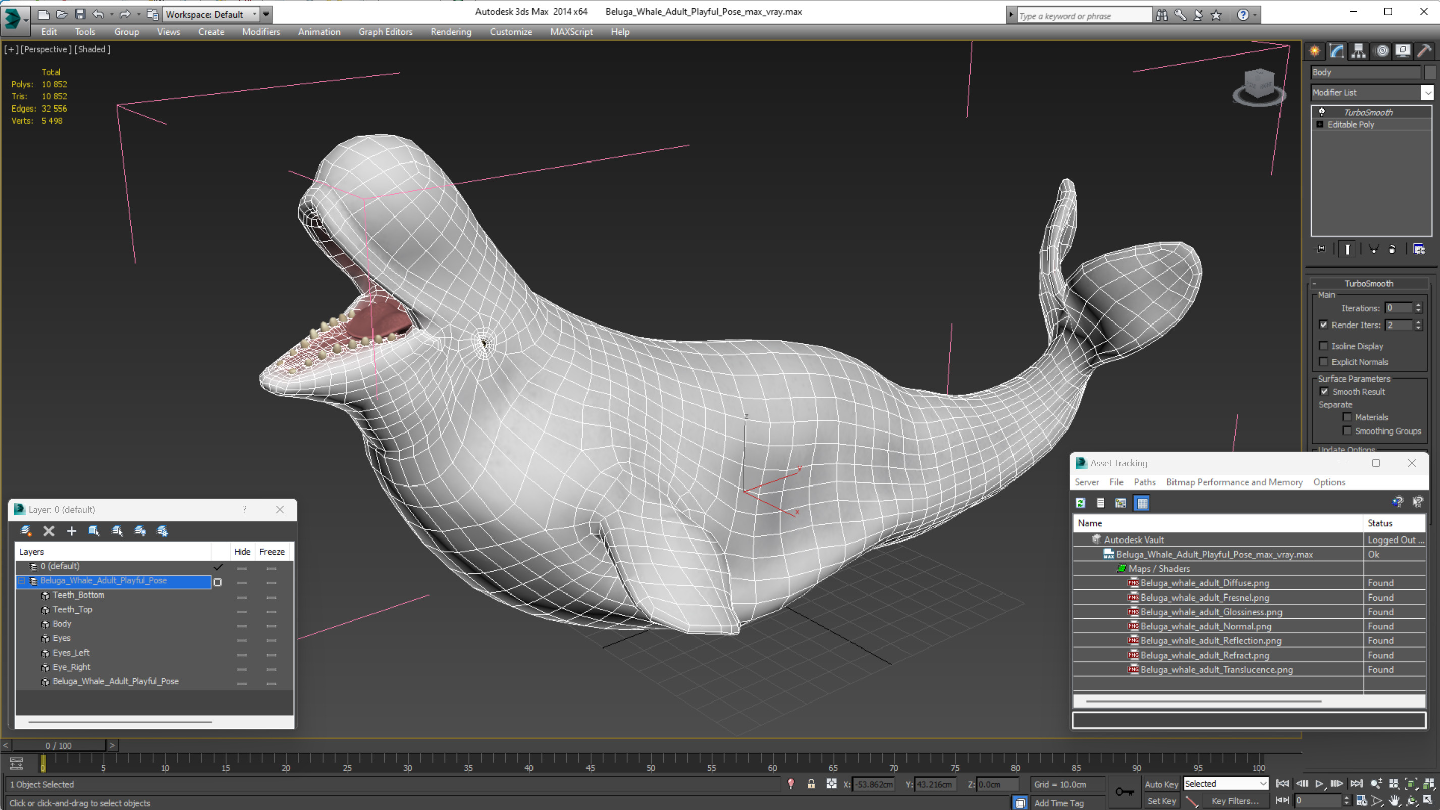 3D Beluga Whale Adult Playful Pose