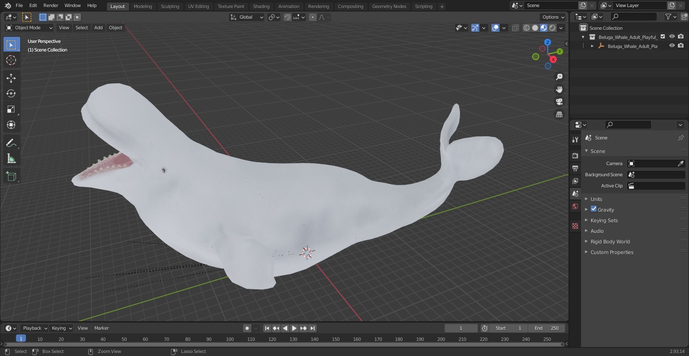 3D Beluga Whale Adult Playful Pose