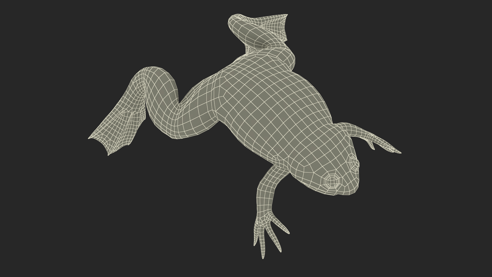 African Claw-toe Frog Rigged for Cinema 4D 3D