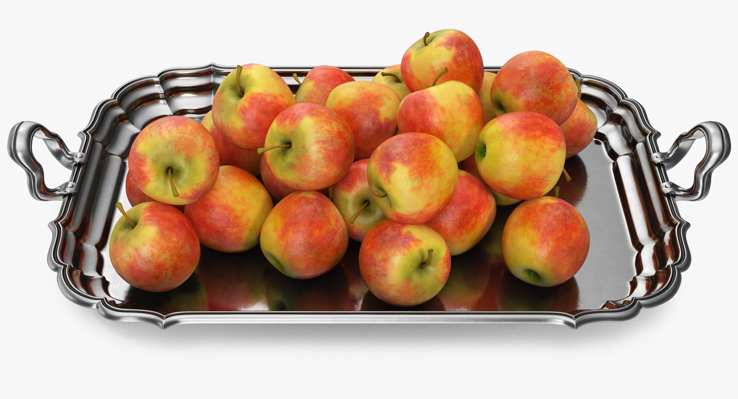 3D Silver Tray with Apples model