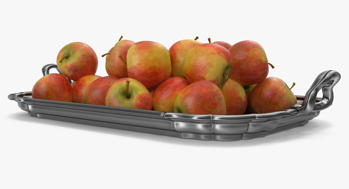 3D Silver Tray with Apples model