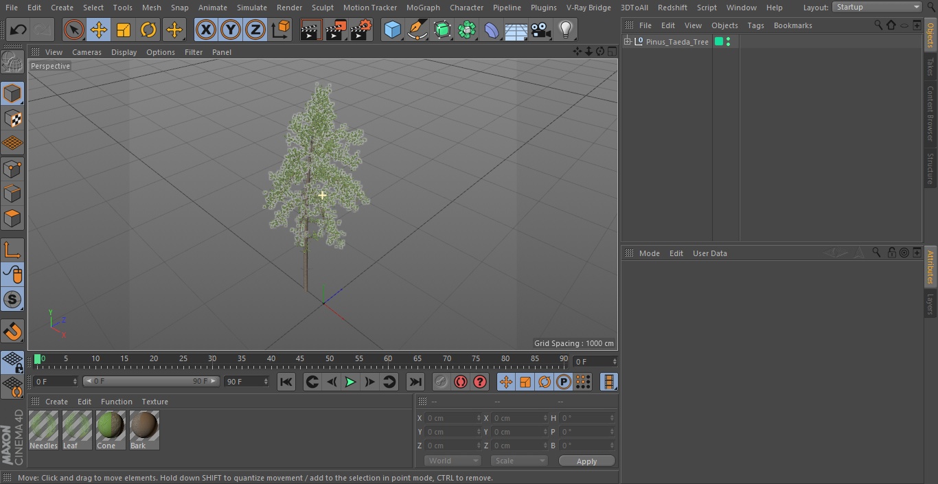 3D Pinus Taeda Tree