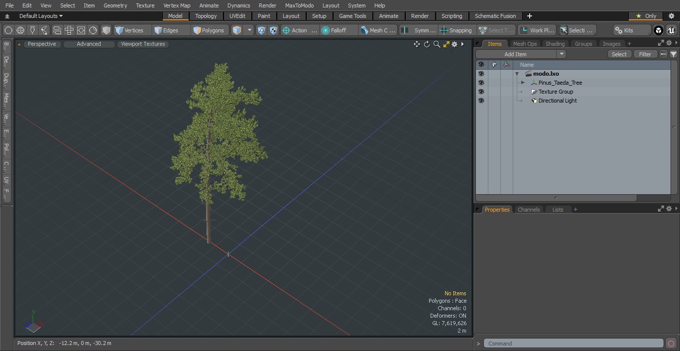 3D Pinus Taeda Tree