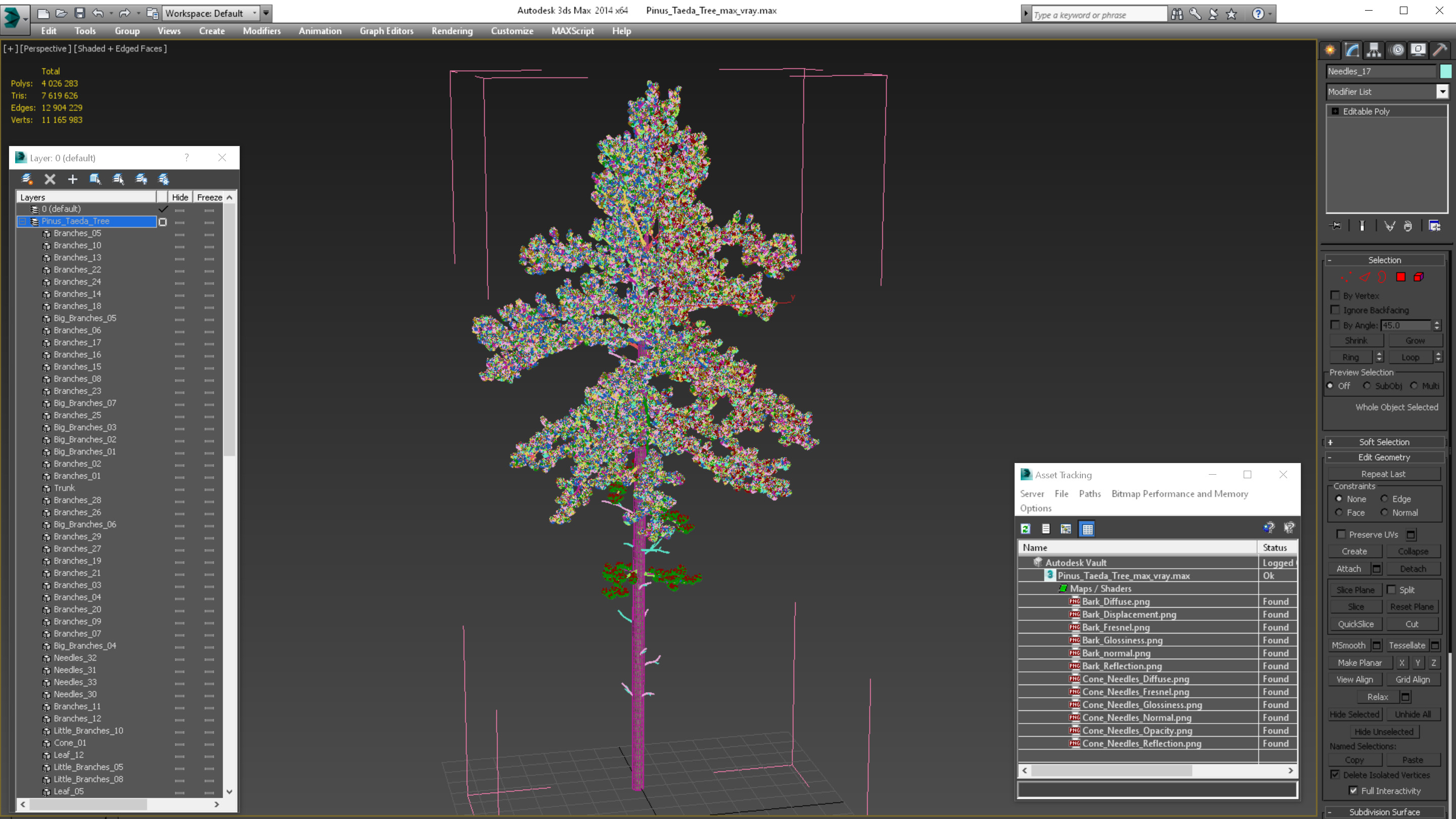 3D Pinus Taeda Tree