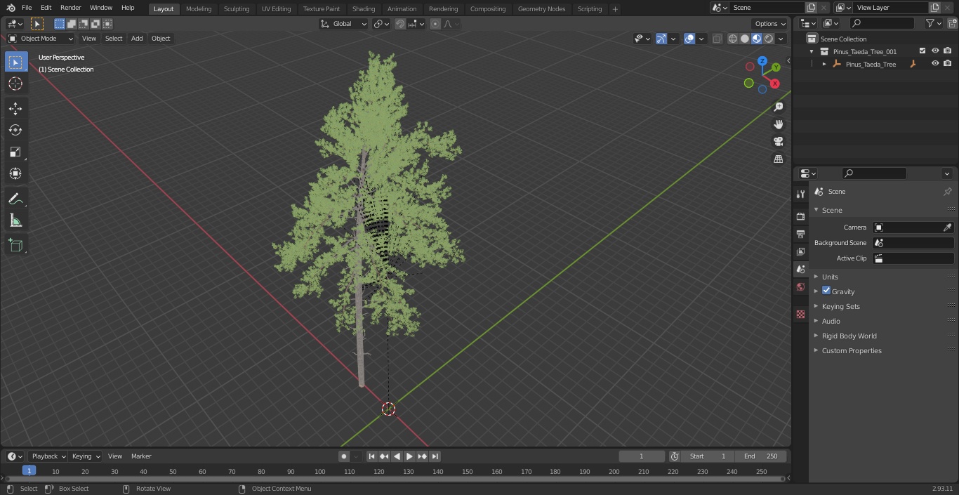 3D Pinus Taeda Tree