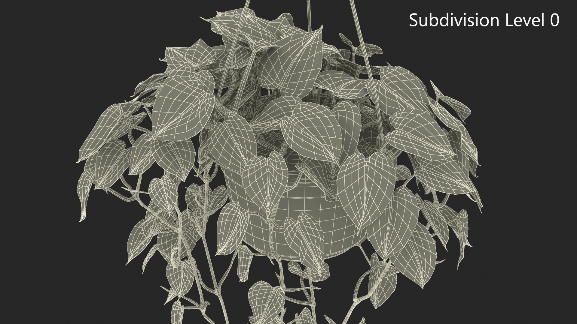 3D model Plant in Hanging Pot