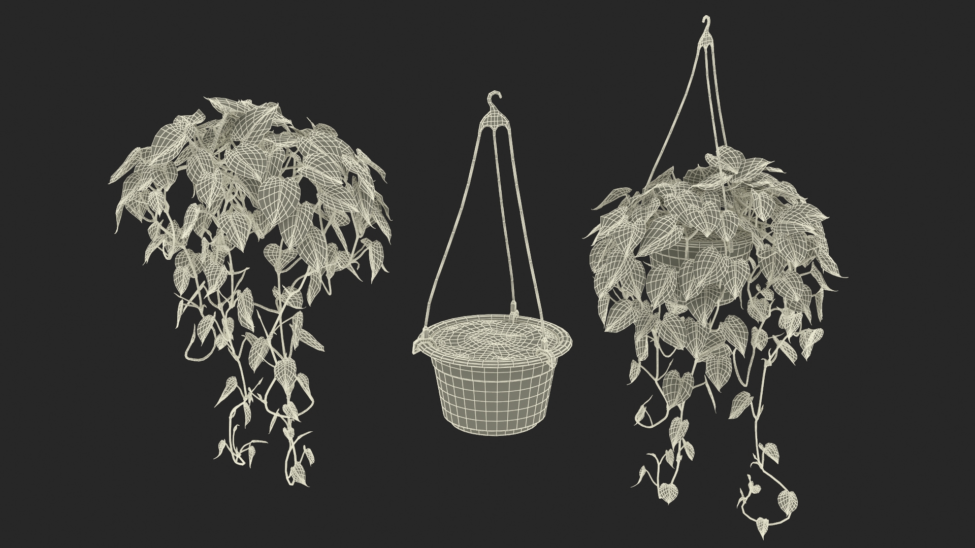 3D model Plant in Hanging Pot