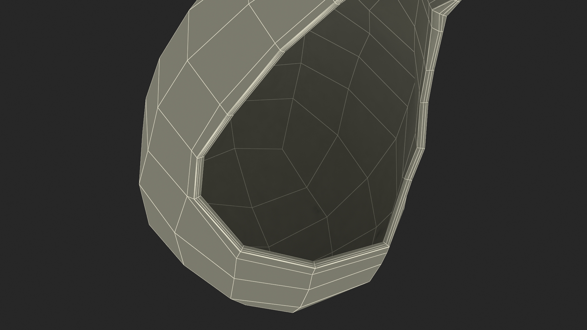 Gall Bladder Cut Plastic 3D model