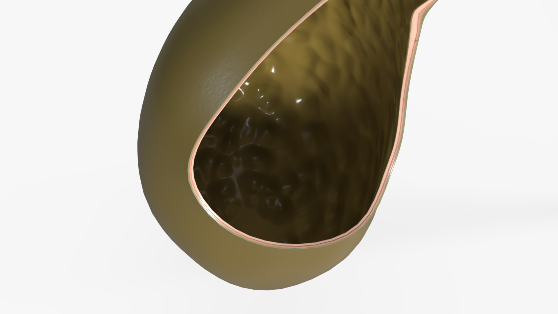 Gall Bladder Cut Plastic 3D model