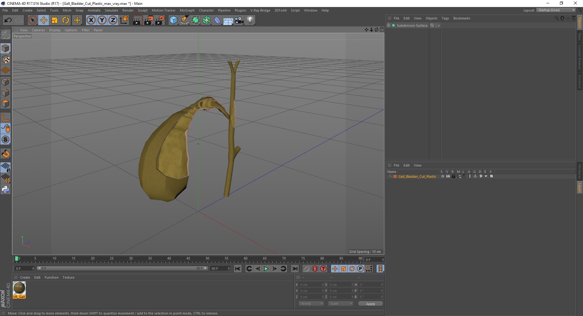 Gall Bladder Cut Plastic 3D model