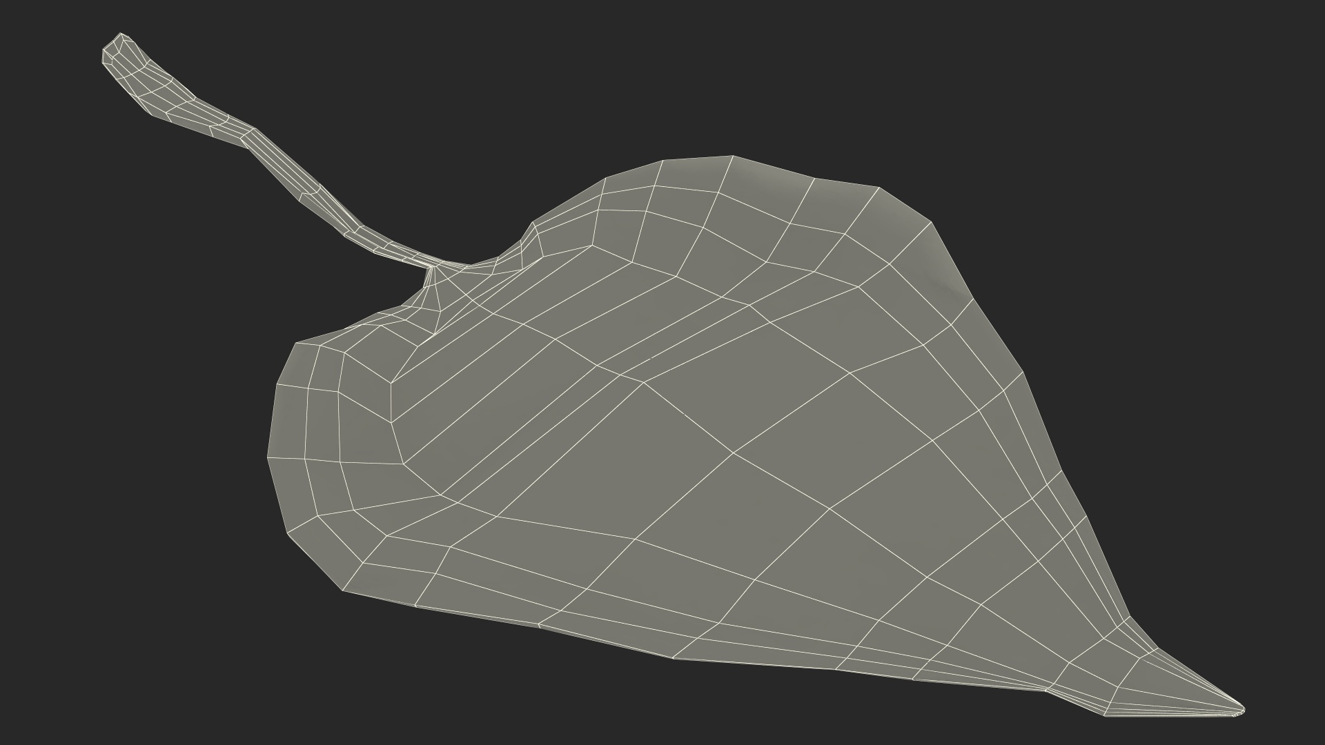 Garden Snail Crawls on a Leaf 3D model