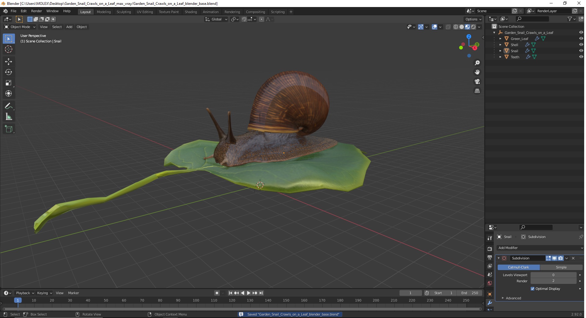 Garden Snail Crawls on a Leaf 3D model