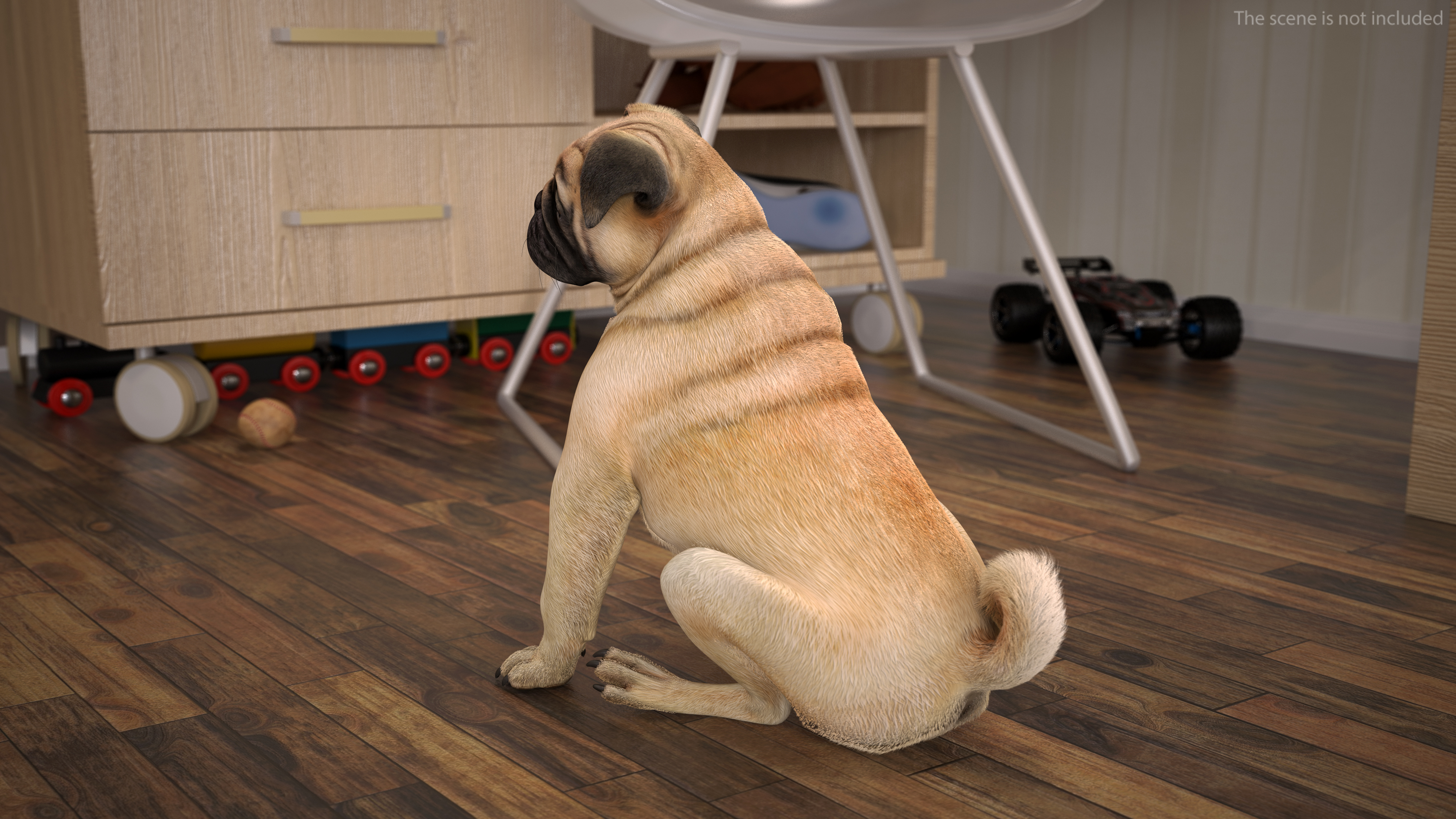 Pug Dog Sitting Pose Fur 3D model