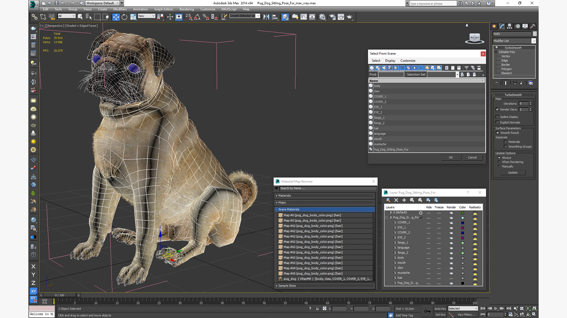 Pug Dog Sitting Pose Fur 3D model
