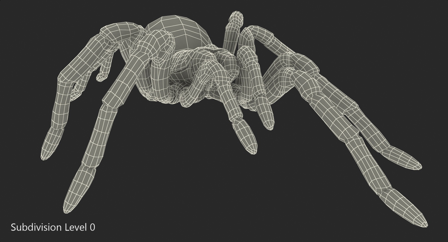 Bird Eating Spider Walkig Pose with Fur 3D model