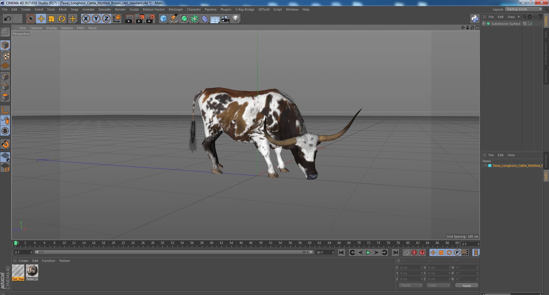 3D model Texas Longhorn Cattle Mottled Brown