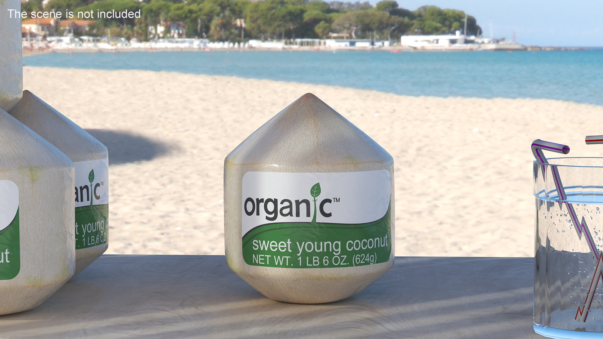 Fresh Shelled Coconut Pack Organic 3D model