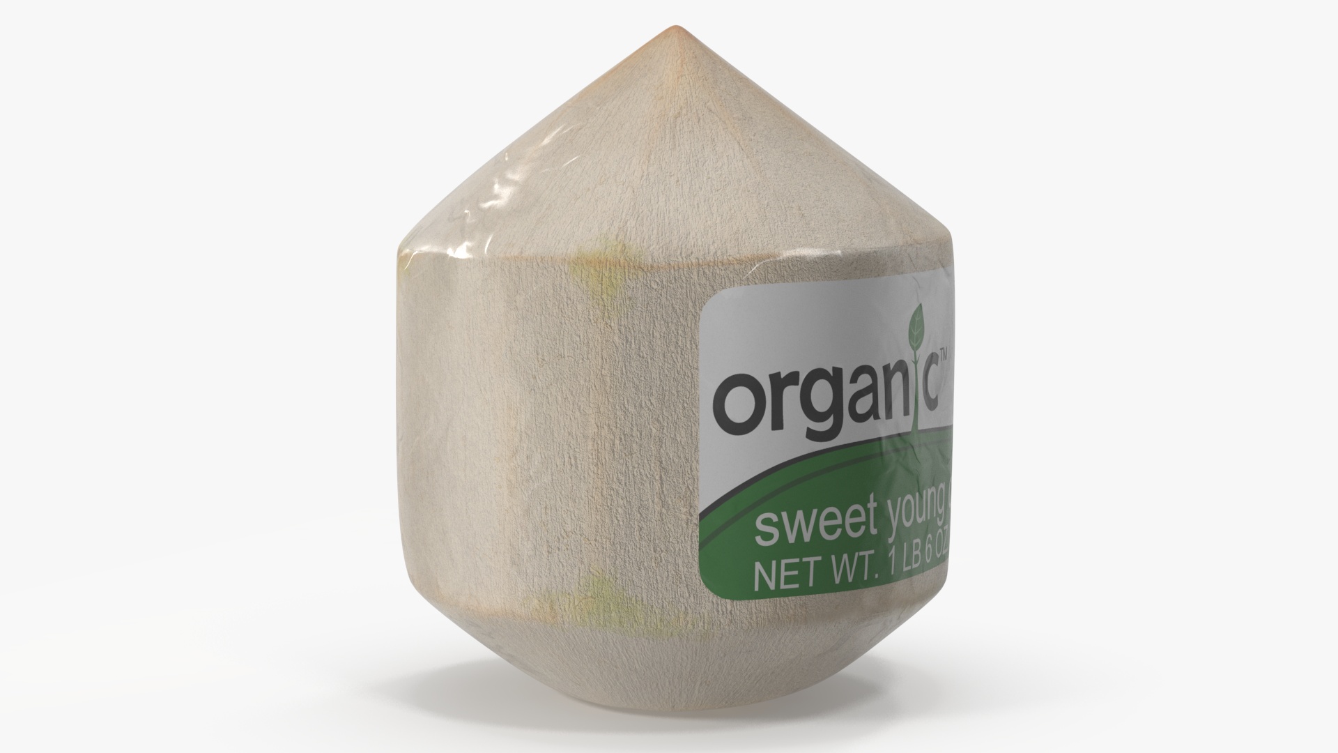 Fresh Shelled Coconut Pack Organic 3D model