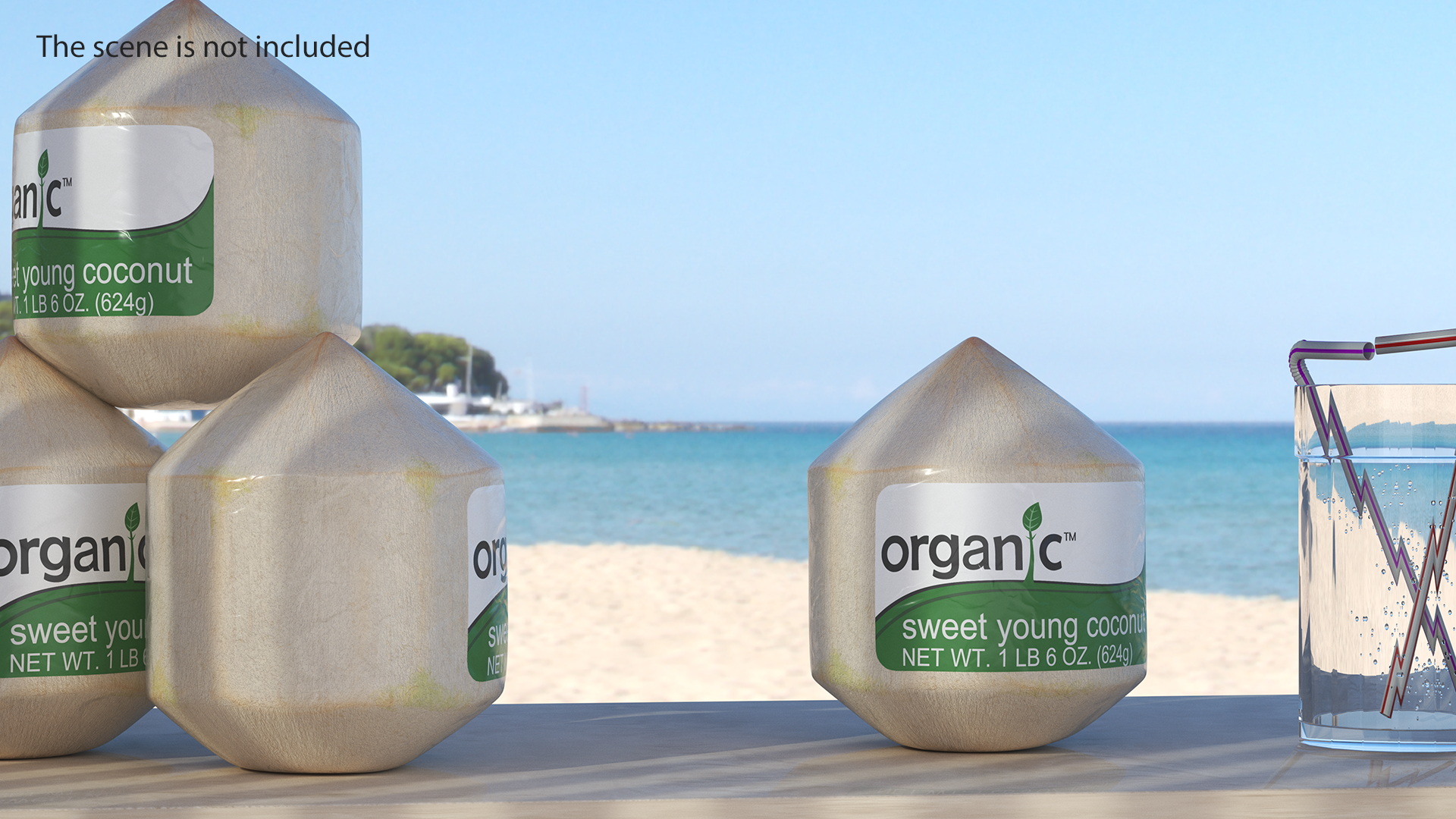 Fresh Shelled Coconut Pack Organic 3D model