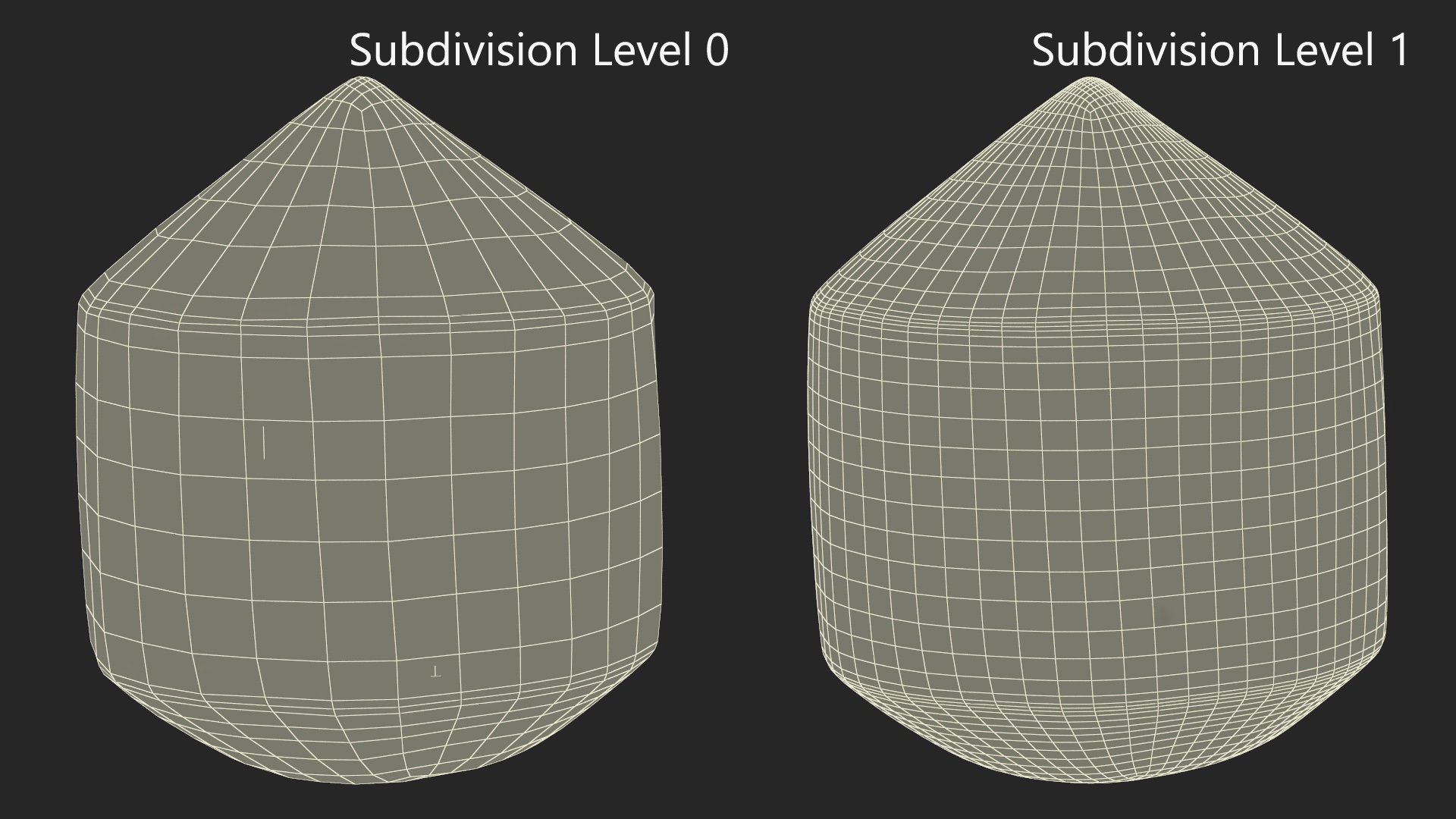 Fresh Shelled Coconut Pack Organic 3D model