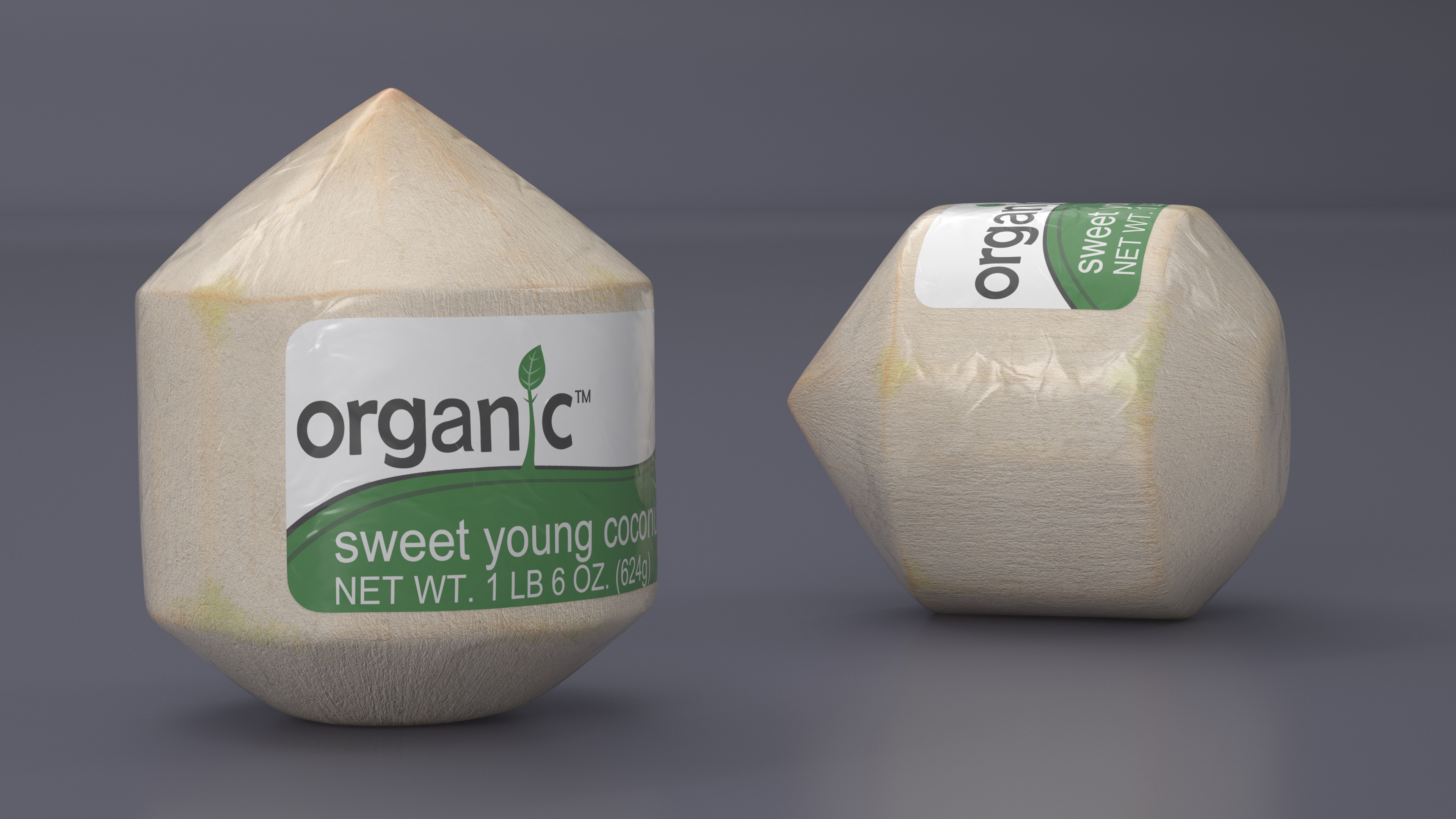 Fresh Shelled Coconut Pack Organic 3D model