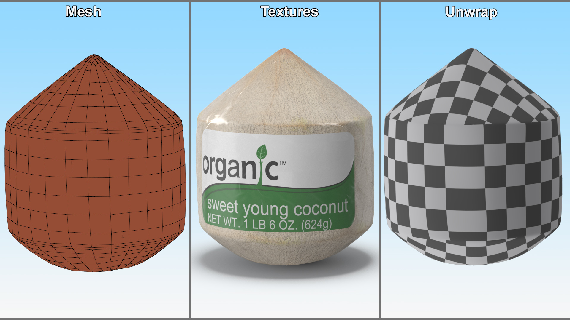 Fresh Shelled Coconut Pack Organic 3D model