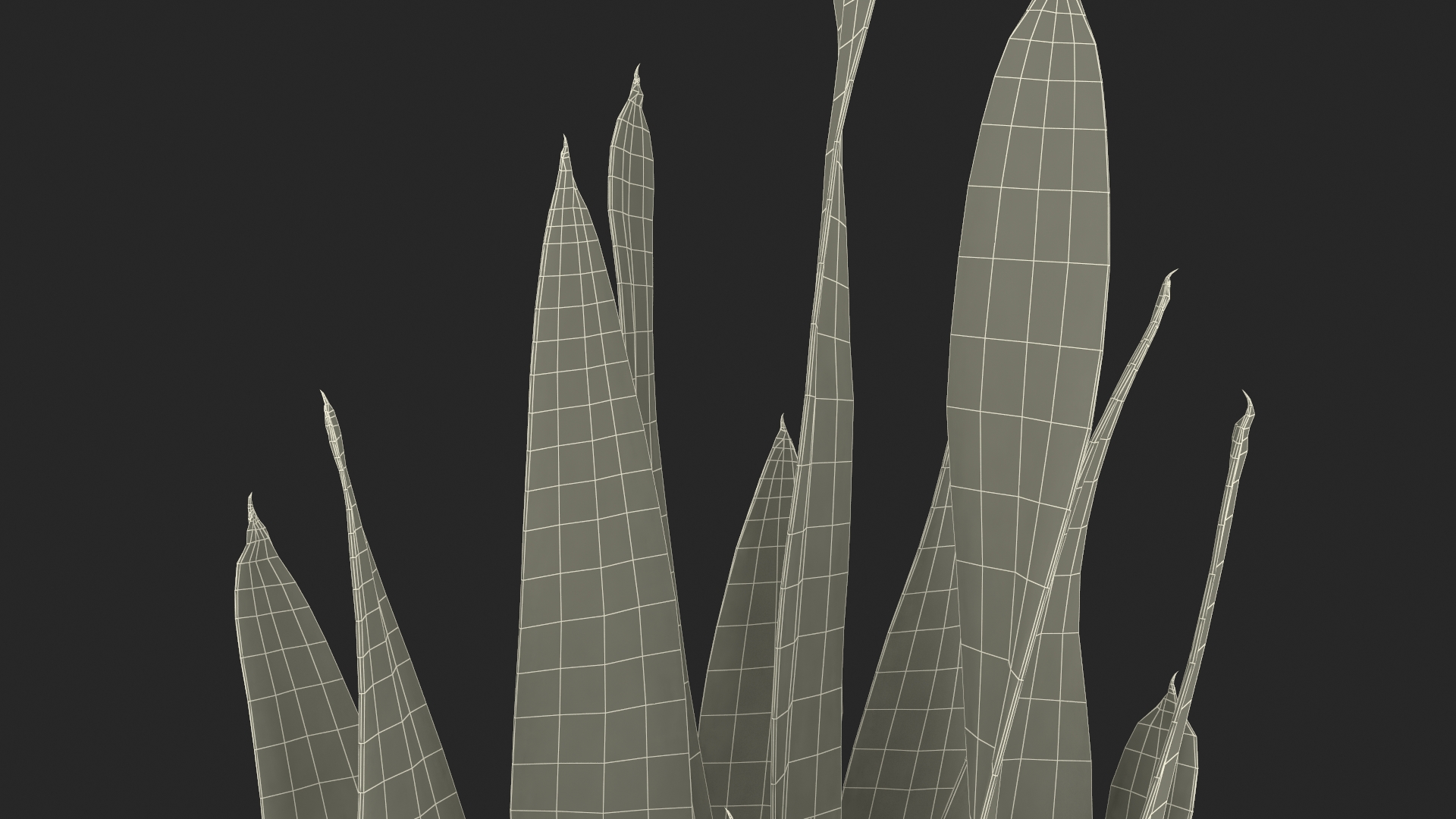 3D model Saint Georges Sword Plant