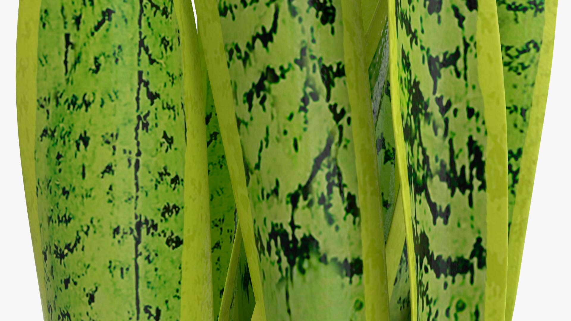 3D model Saint Georges Sword Plant