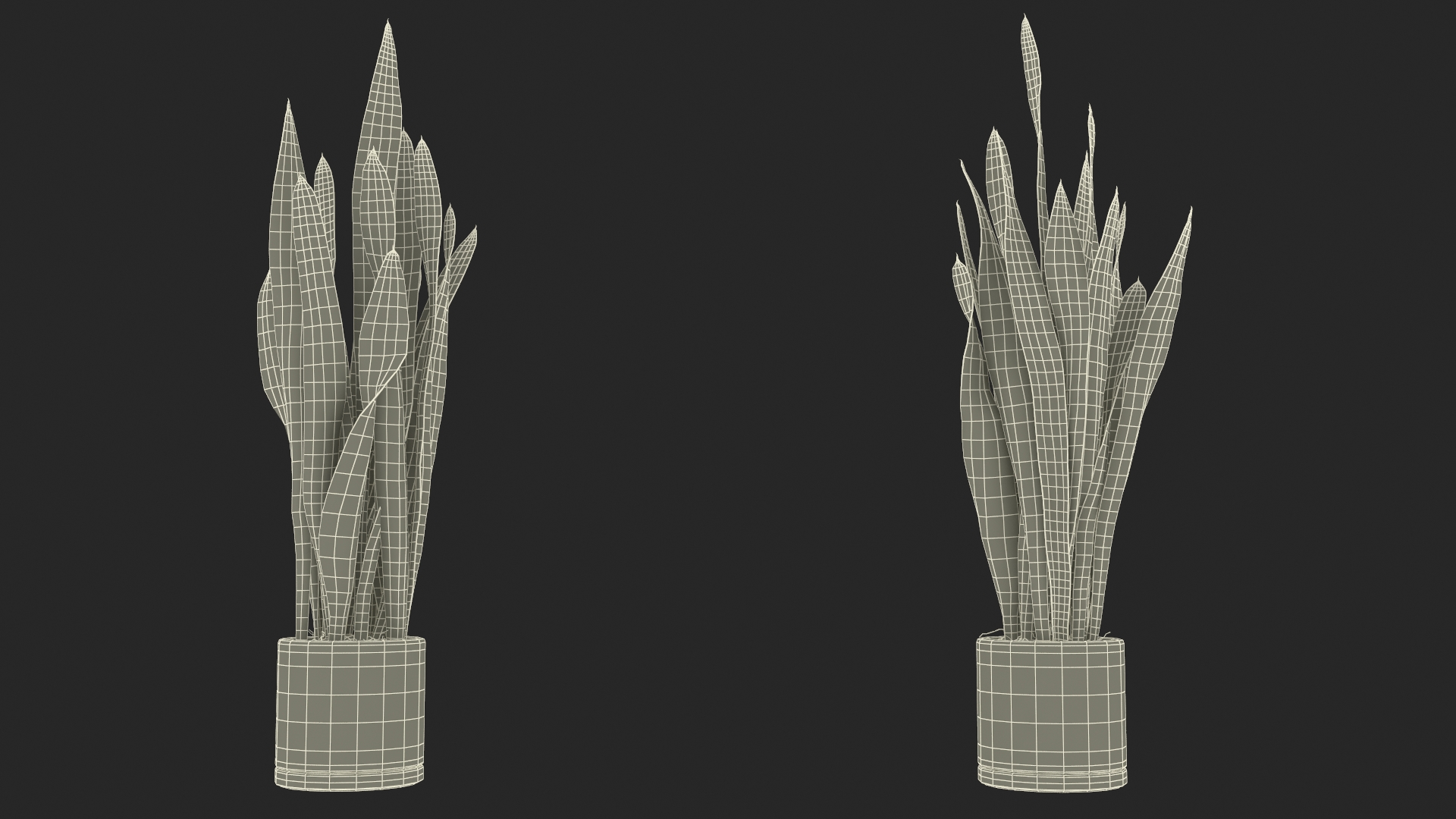 3D model Saint Georges Sword Plant