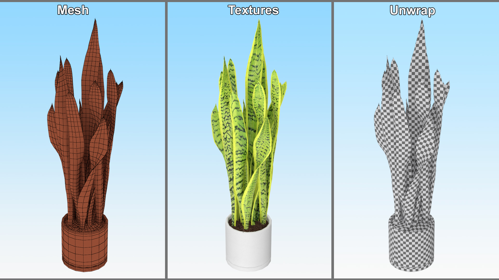 3D model Saint Georges Sword Plant