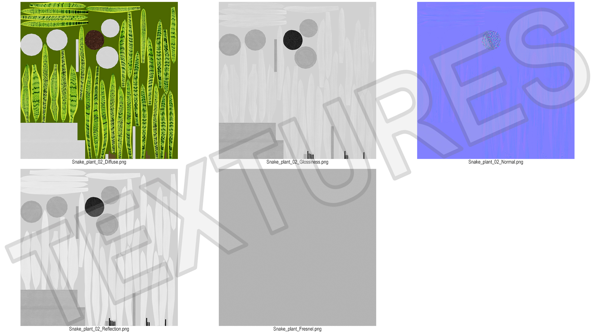 3D model Saint Georges Sword Plant