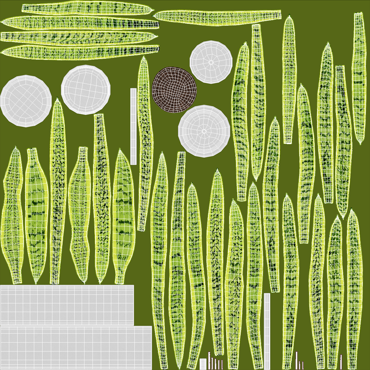 3D model Saint Georges Sword Plant