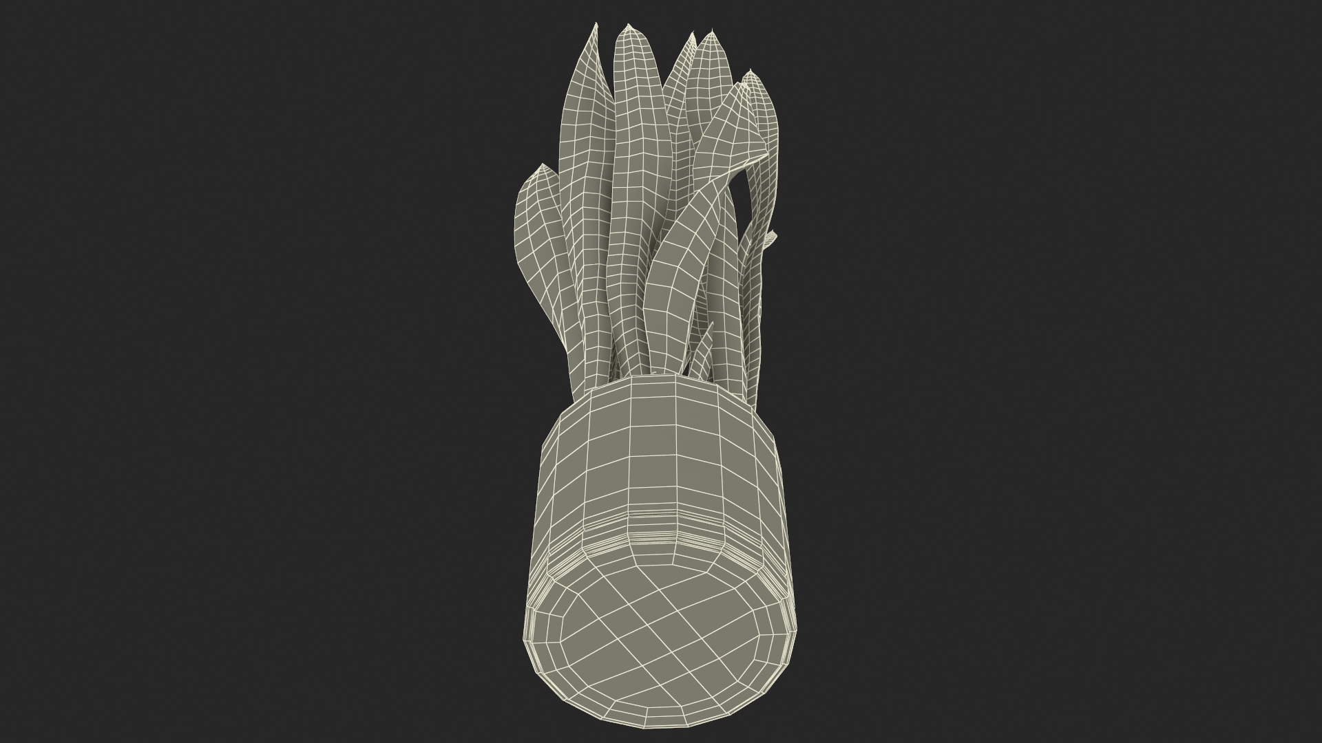 3D model Saint Georges Sword Plant