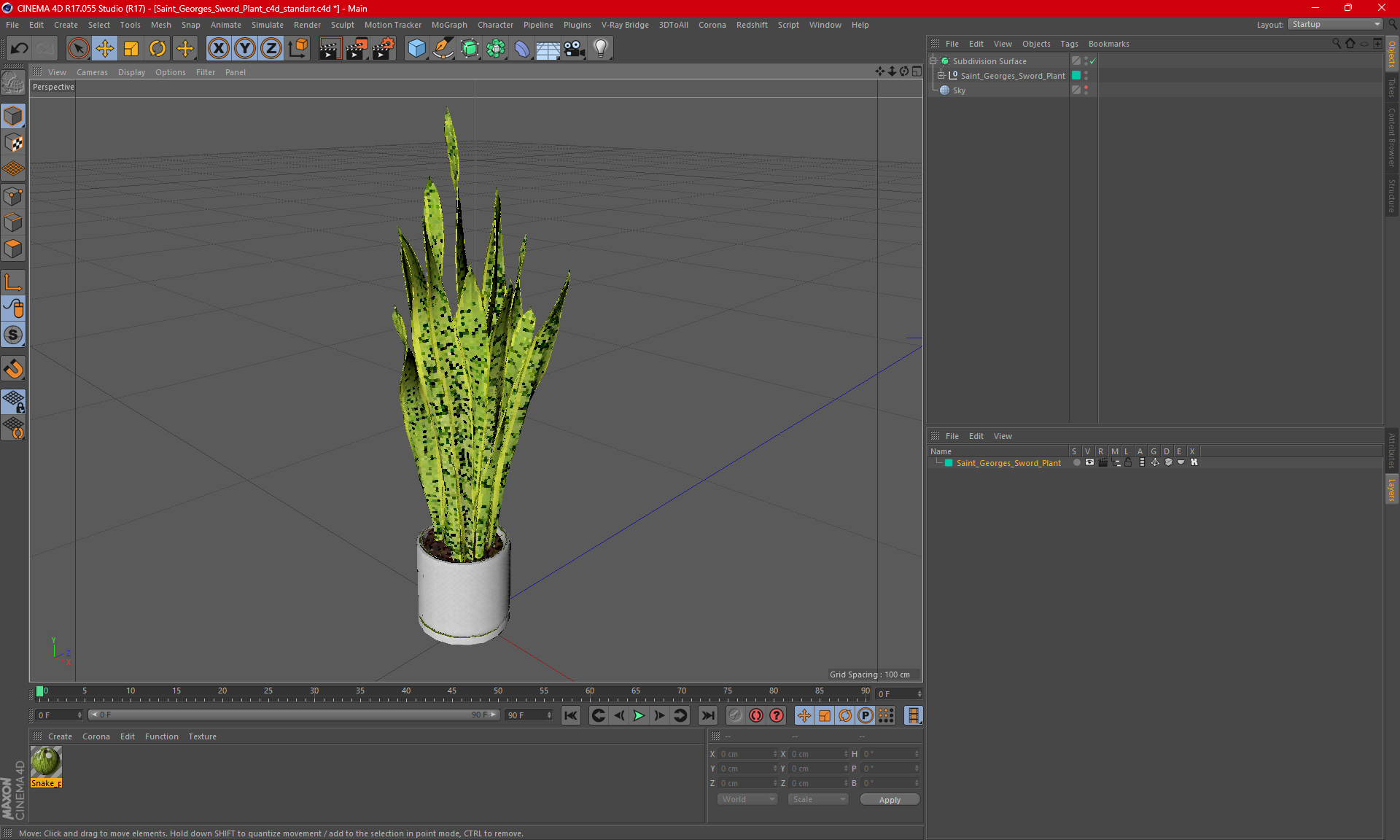 3D model Saint Georges Sword Plant