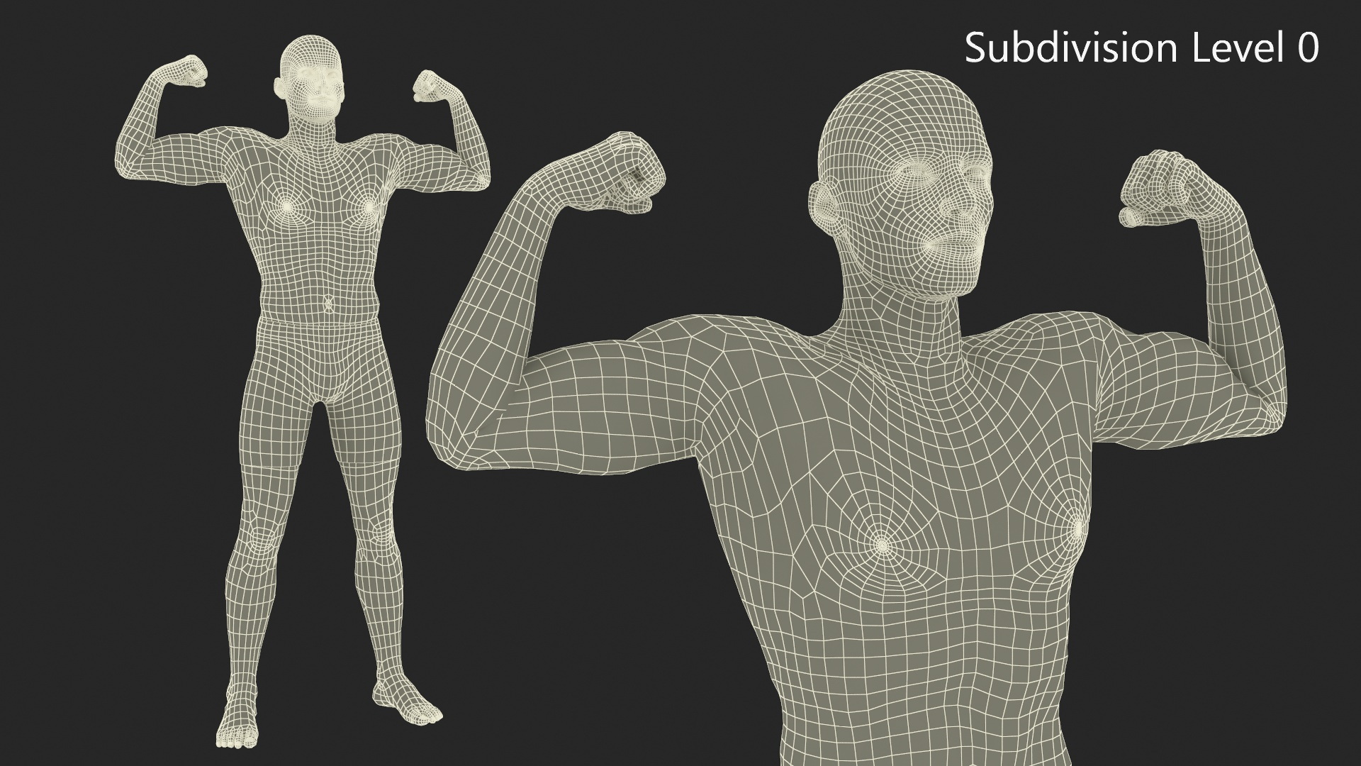 3D Fighter UFC MMA in Athletic Pose Sweaty Fur model