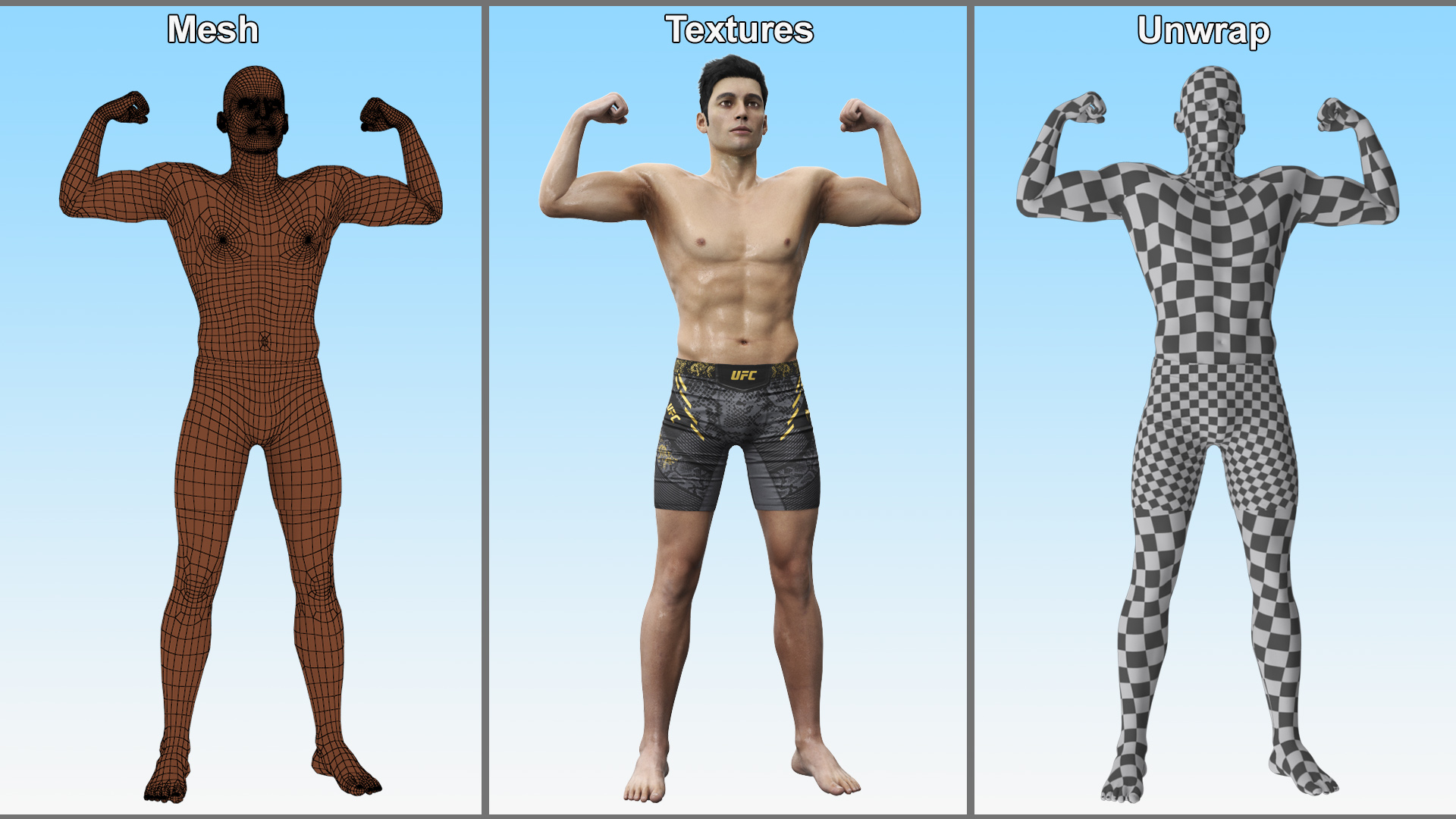 3D Fighter UFC MMA in Athletic Pose Sweaty Fur model