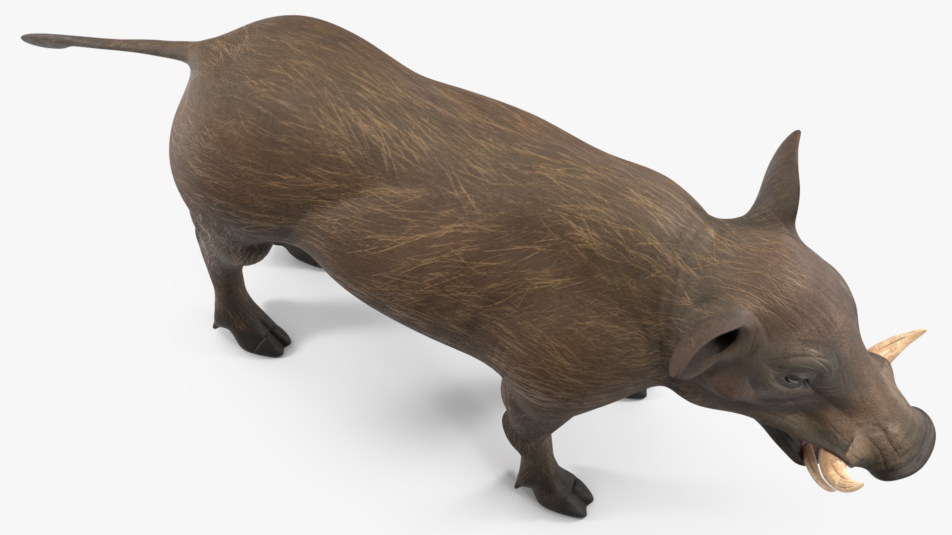 3D Warthog Basic Pose model
