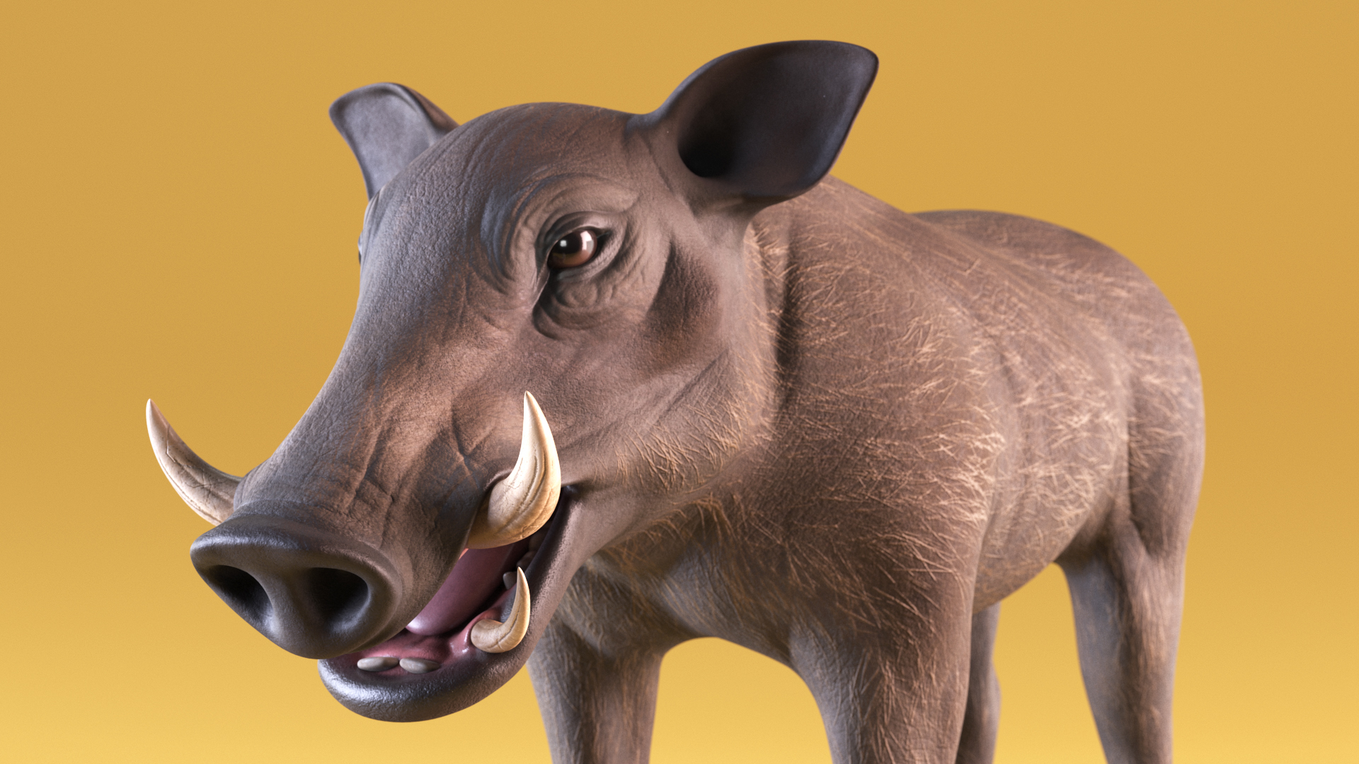 3D Warthog Basic Pose model