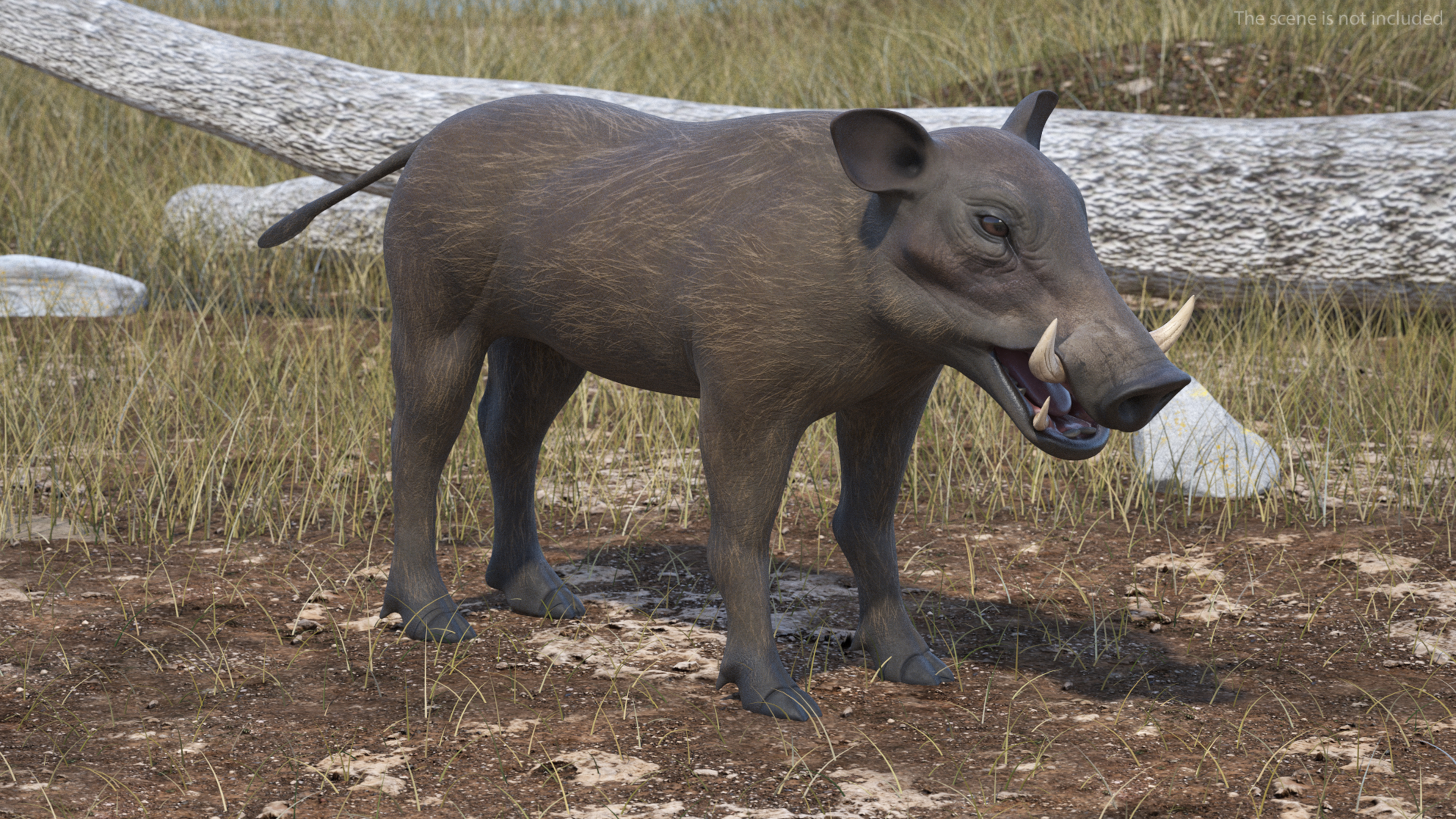 3D Warthog Basic Pose model