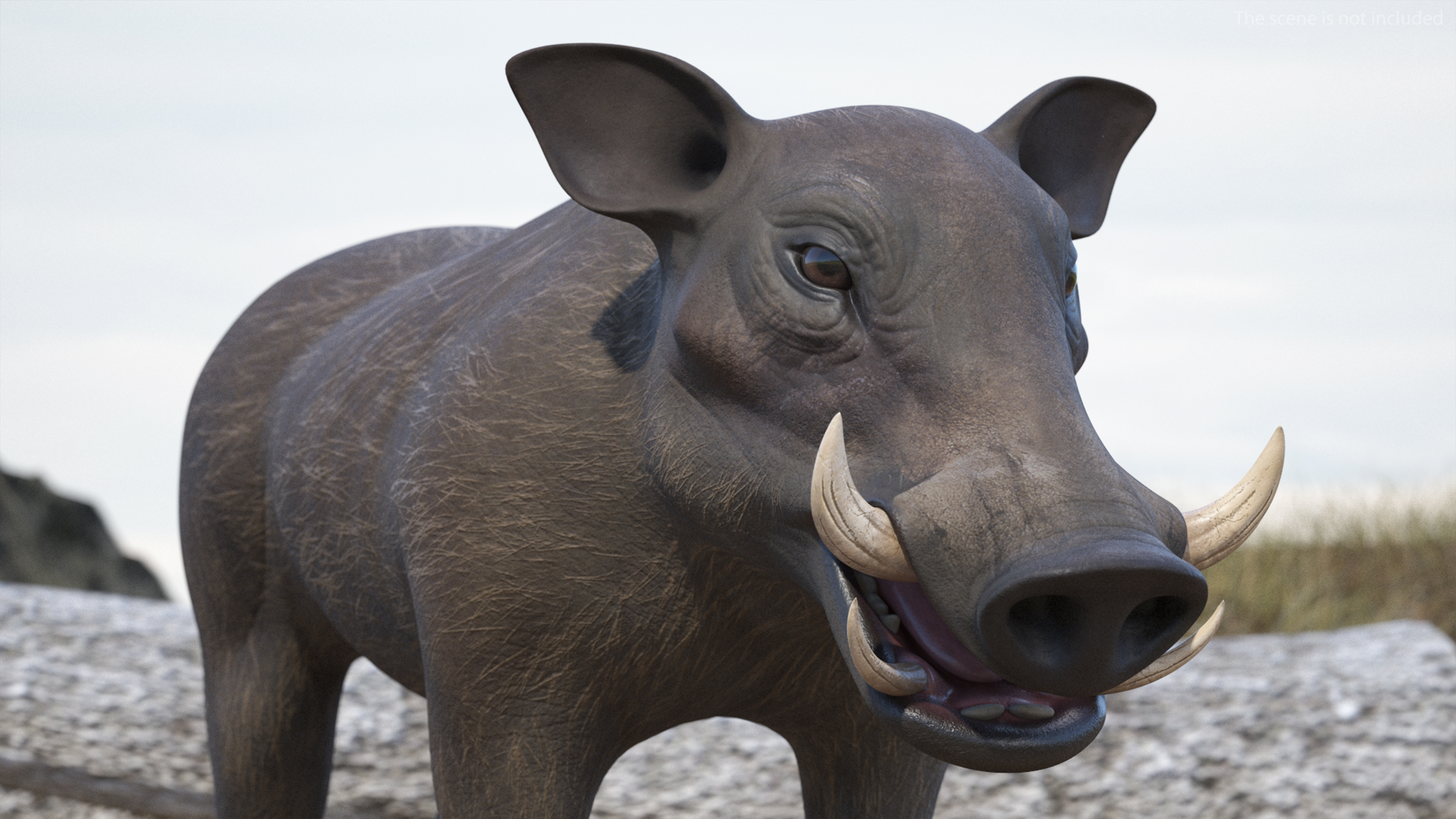 3D Warthog Basic Pose model