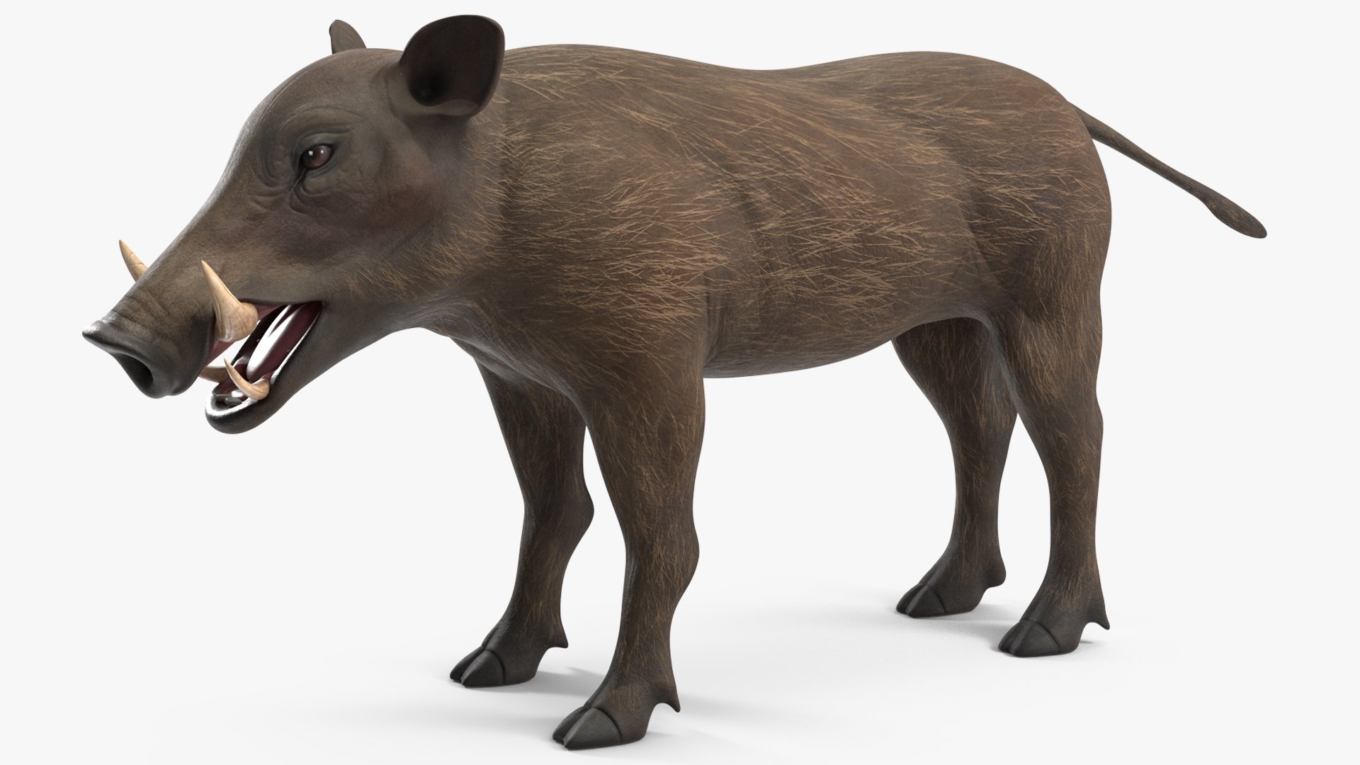 3D Warthog Basic Pose model