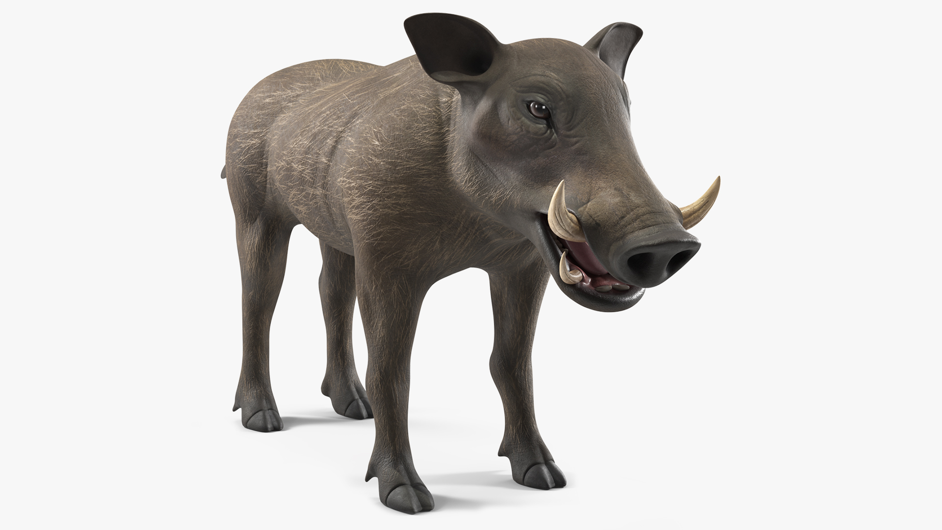 3D Warthog Basic Pose model